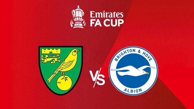 Постер FA Cup Norwich - Brighton