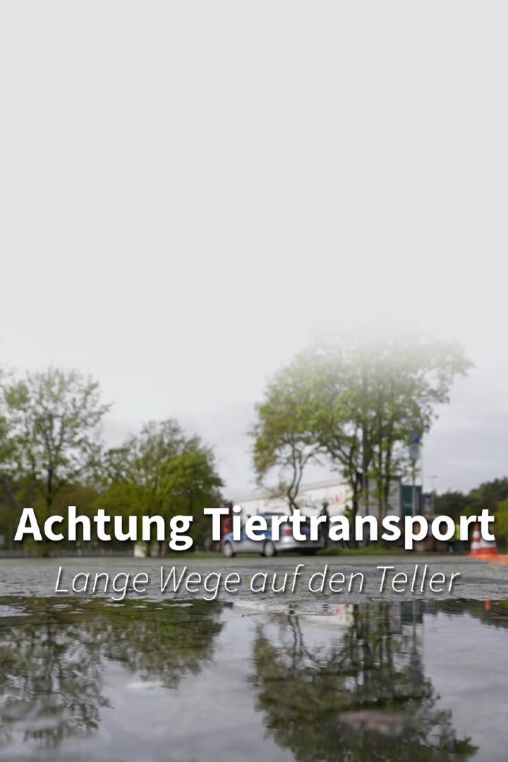 Achtung Tiertransport: Lange Wege auf den Teller (achtung-tiertransport-lange-wege-auf-den-teller) Документальный фильм