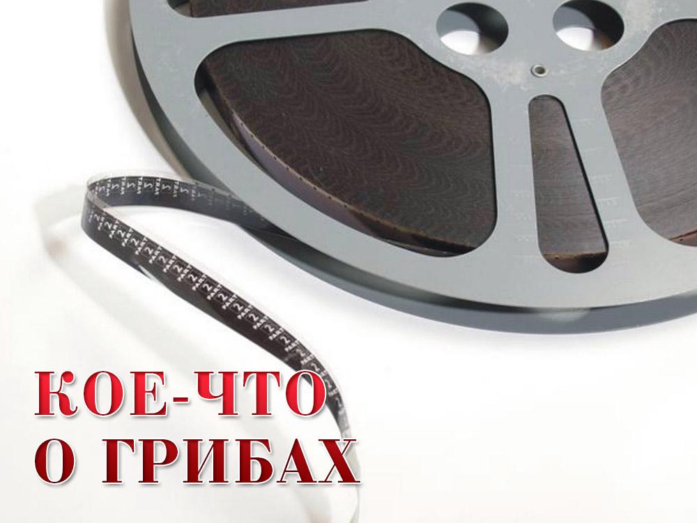 Кое-что о грибах (koe-chto-o-gribah) Документальный фильм