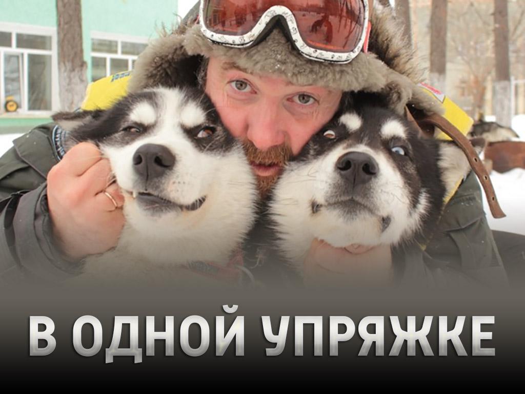 В одной упряжке (v-odnoj-uprjazhke) Познавательное