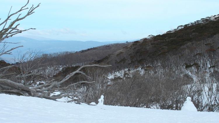 Постер Schnee in Australien: Winter in Australien