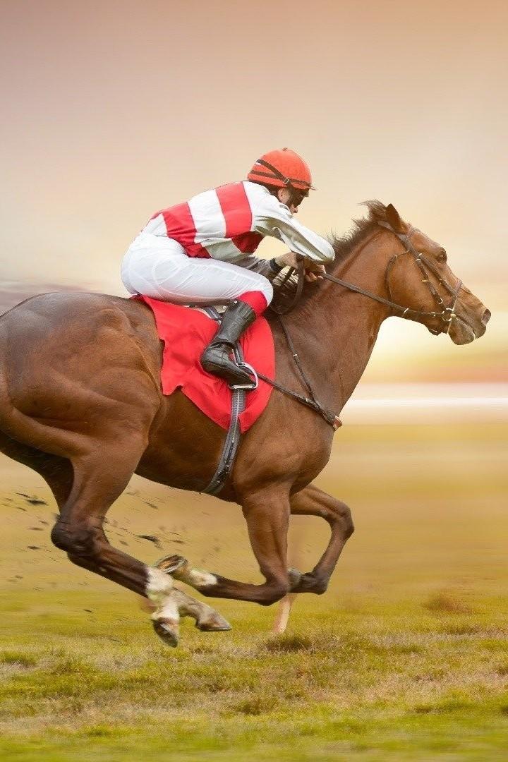 Horse Racing (horse-racing) Досуг, хобби