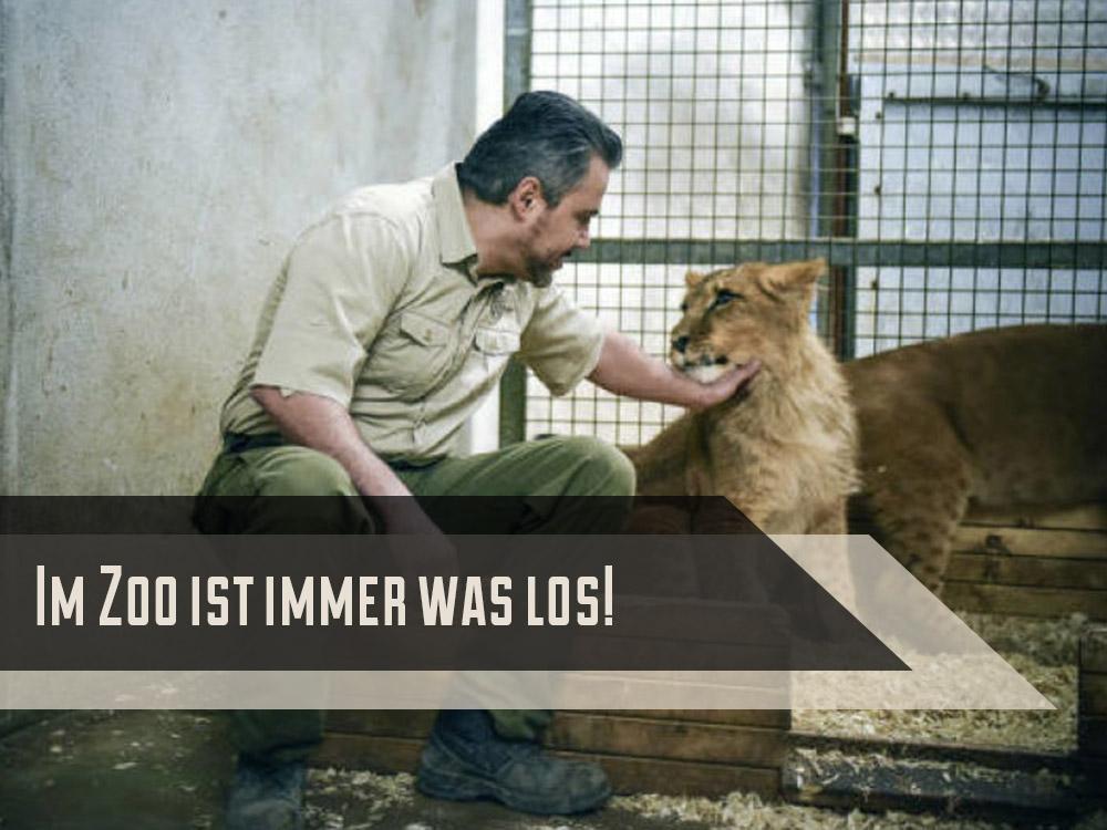 Im Zoo ist immer was los! (im-zoo-ist-immer-was-los) Документальный сериал