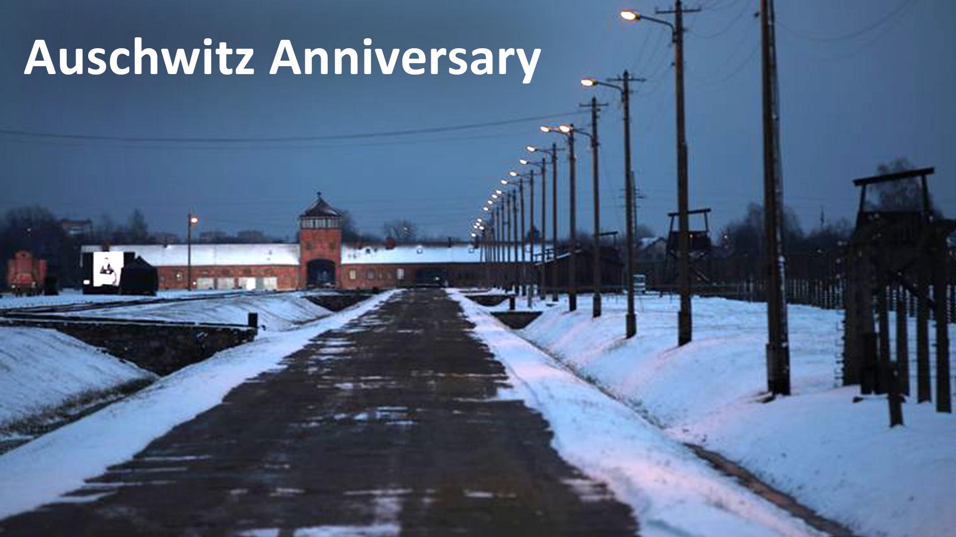 Auschwitz Anniversary (auschwitz-anniversary) Познавательное
