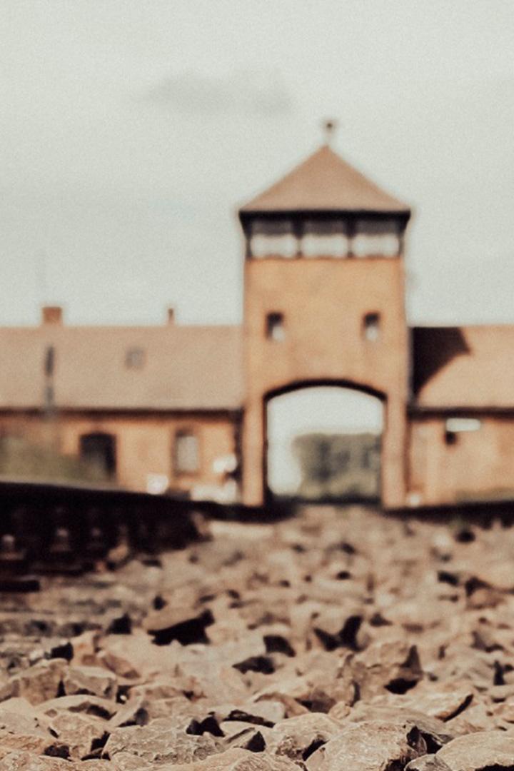 Commémoration des 80 ans de la libération du camp d'Auschwitz-Birkenau : cérémonie internationale (commmoration-des-80-ans-de-la-libration-du-camp-dauschwitz-birkenau-crmonie-internationale) Другое
