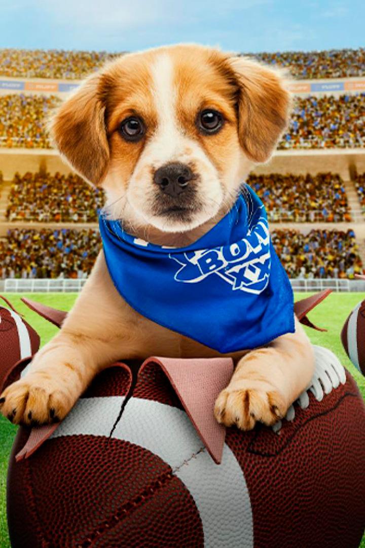 Puppy Bowl XXI (puppy-bowl-xxi) ТВ-шоу