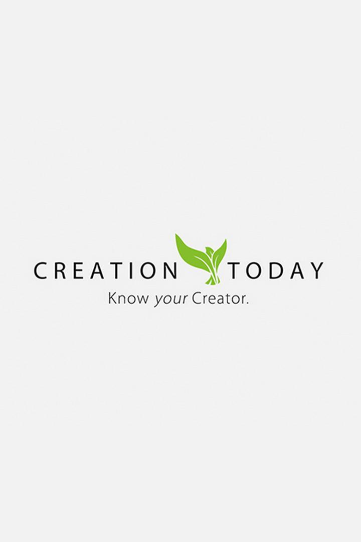 Creation Today (creation-today) Познавательное