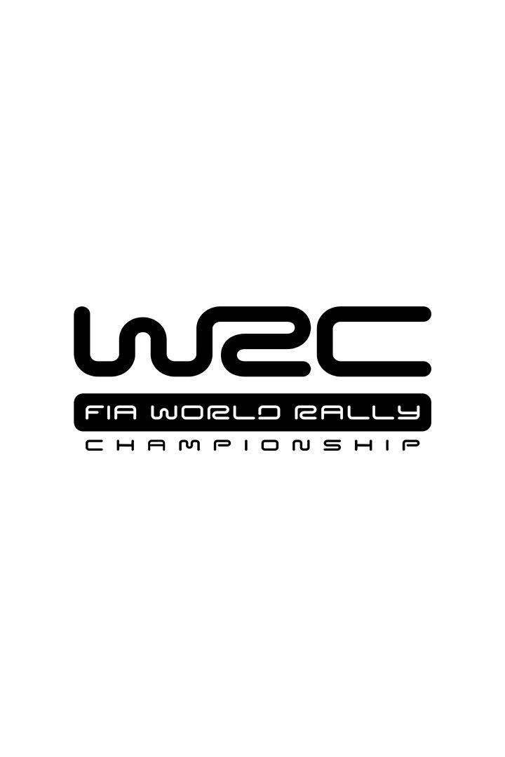 WRC 2025 (wrc-2025) Досуг, хобби