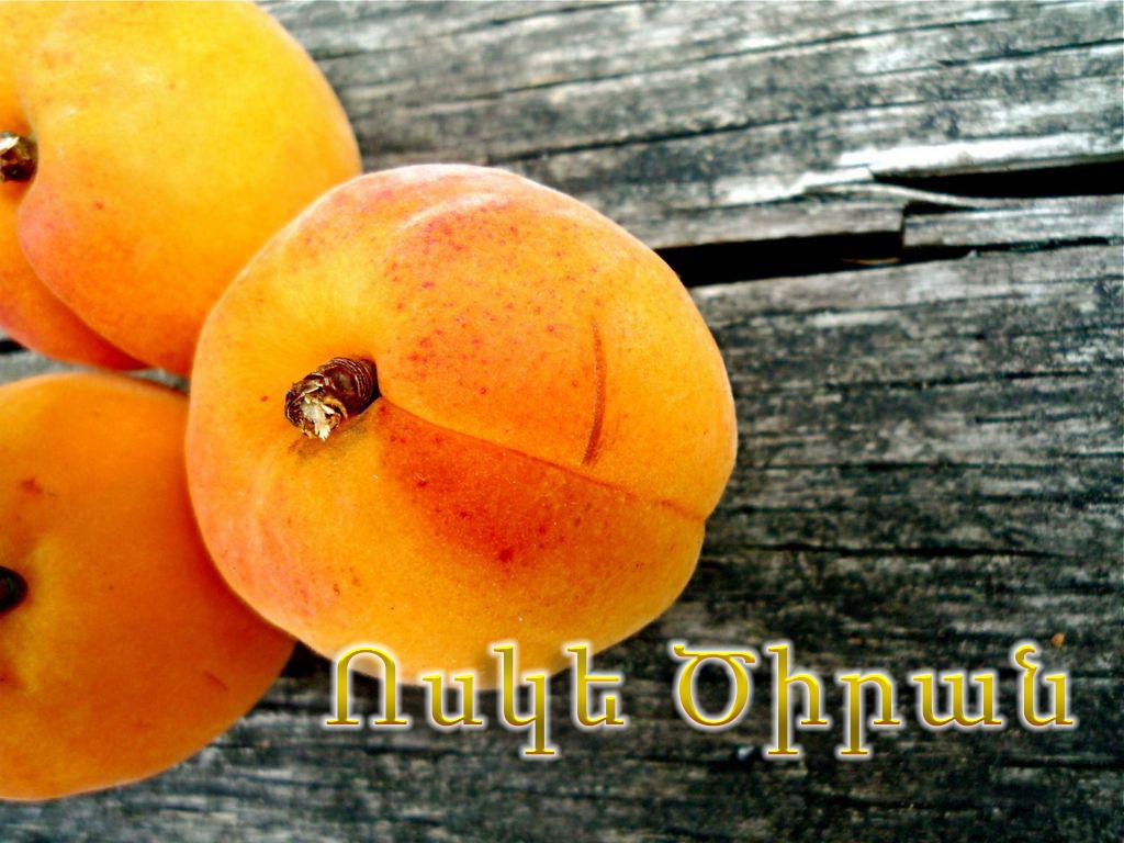 Ոսկե Ծիրան Досуг, хобби