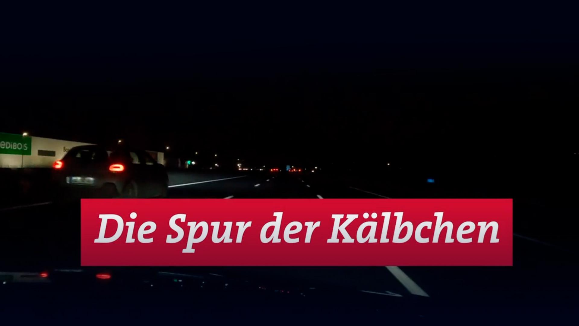 Die Spur der Kälbchen: Die Schattenseiten der Milchwirtschaft (die-spur-der-klbchen-die-schattenseiten-der-milchwirtschaft) Документальный фильм