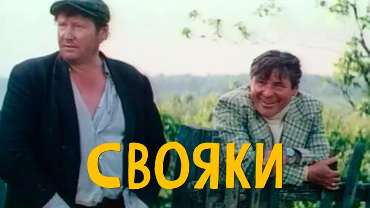 Постер Свояки