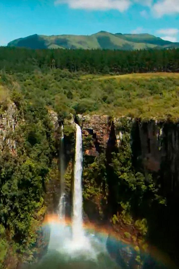 Гигантские манты Западного Папуа (gigantskie-manty-zapadnogo-papua) Досуг, хобби