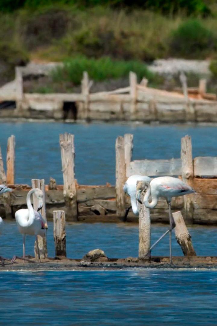 Лагуна Этан дэ Бер на Лазурном берегу (laguna-etan-de-ber-na-lazurnom-beregu) Досуг, хобби