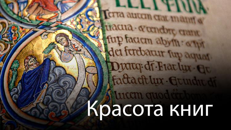 Постер Красота книг