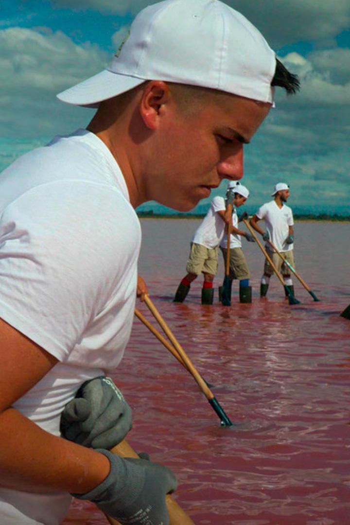 Сокровища планеты - природные богатства Окситании (sokrovischa-planety-prirodnye-bogatstva-oksitanii) Документальный фильм