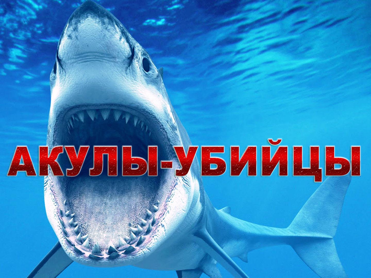 Акулы-убийцы (akuly-ubijtsy) Документальный сериал