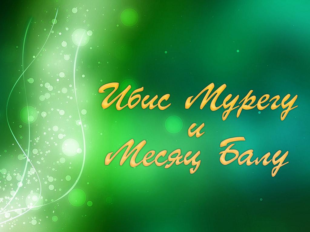 Ибис Мурегу и Месяц Балу (ibis-muregu-i-mesjats-balu) Досуг, хобби