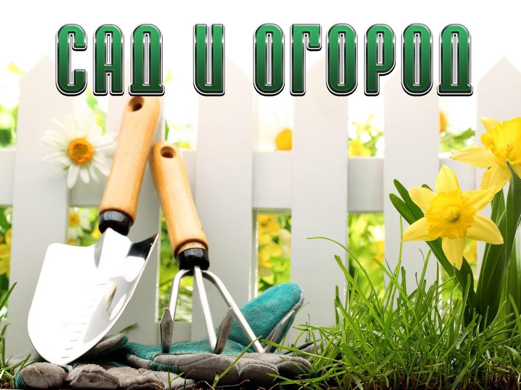 Сад и огород (sad-i-ogorod) Документальный сериал