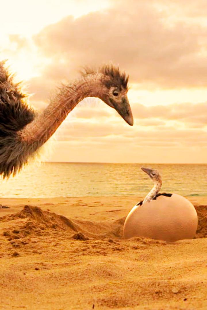 Тайны нелетающих гигантов (tajny-neletajuschih-gigantov) Документальный фильм