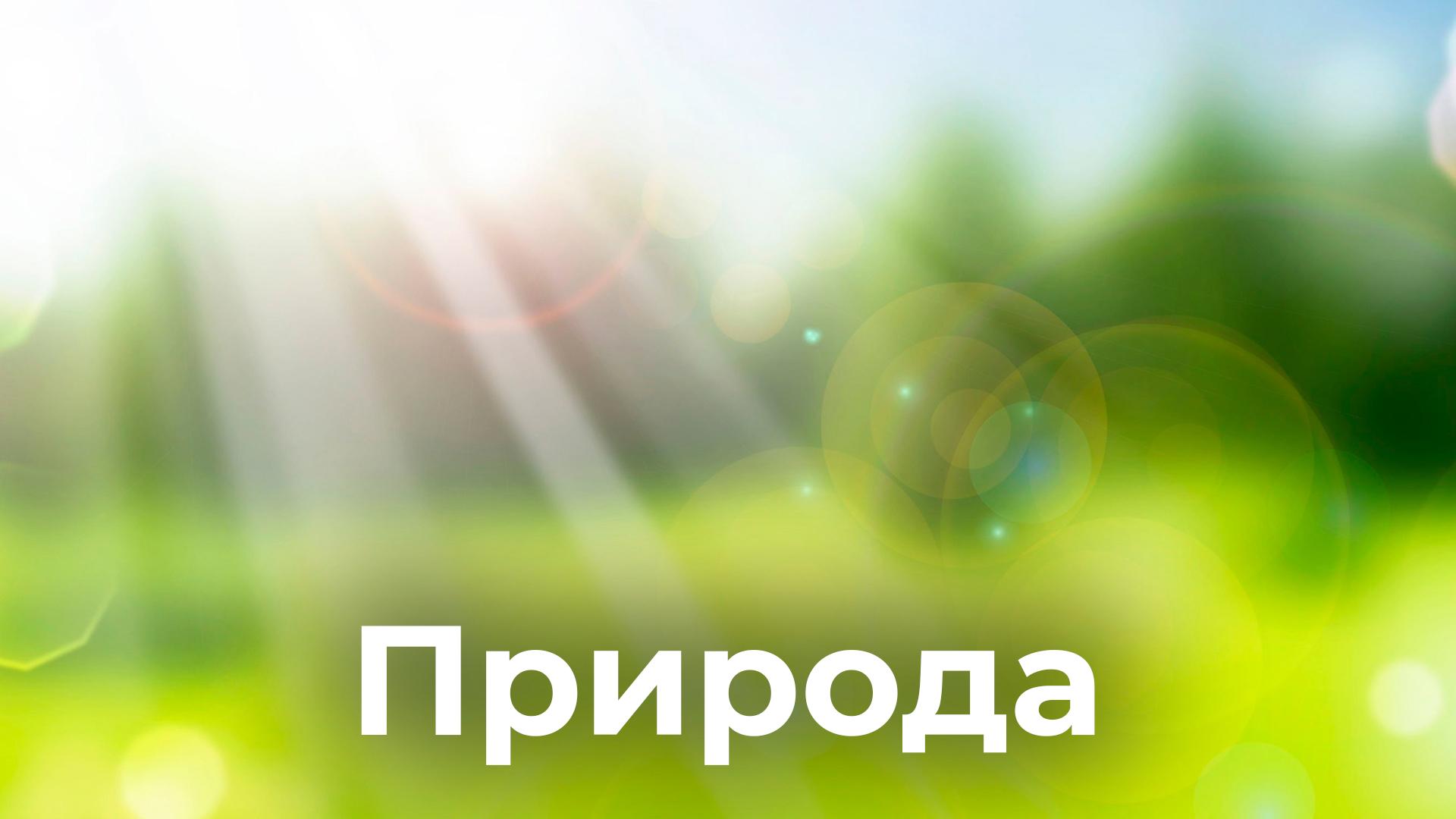 Природа (priroda) Познавательное
