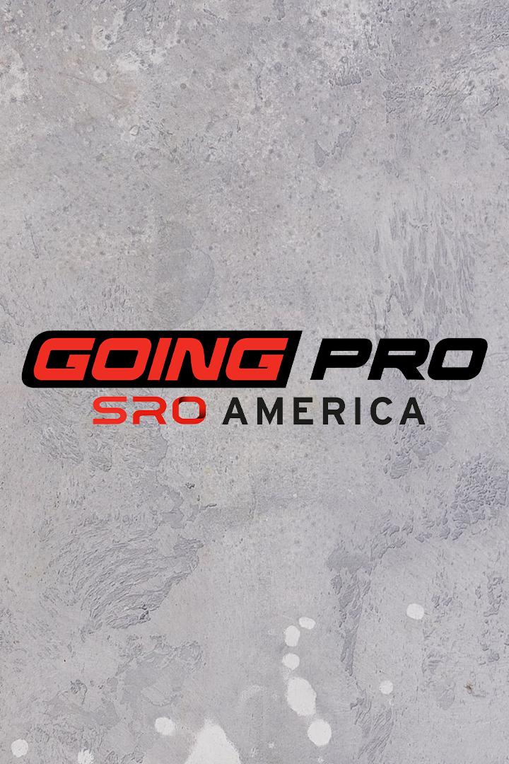 Автоспорт. Going Pro (avtosport-going-pro) Досуг, хобби