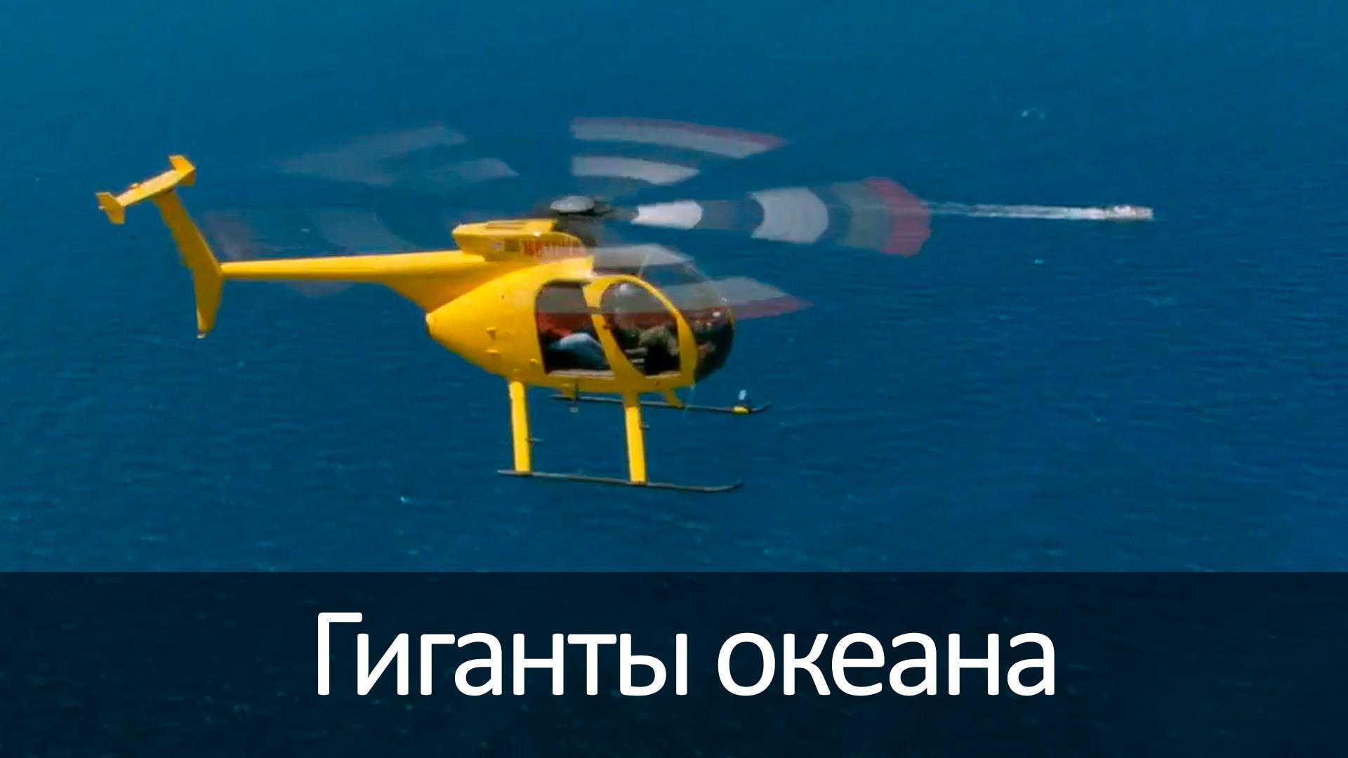 Гиганты океана (giganty-okeana) Документальный фильм