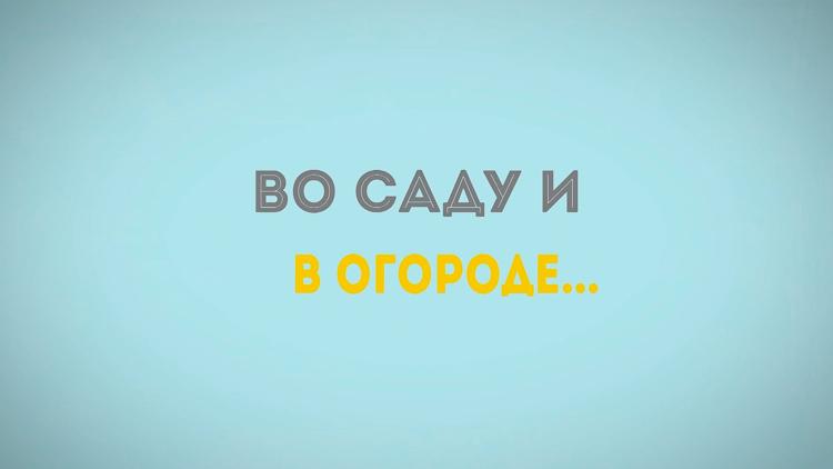 Постер Во саду и в огороде