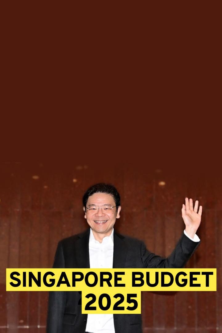 Singapore Budget 2025 (singapore-budget-2025) Другое