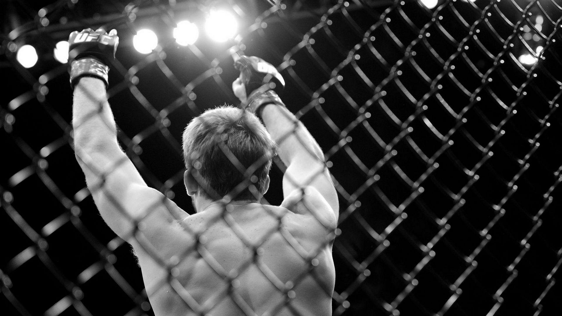 ММА. Octagon 70 (mma-octagon-70) Спорт