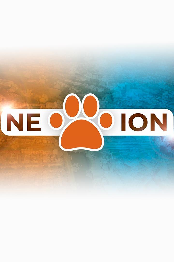 Ne-wff-ion (ne-wff-ion) Новости
