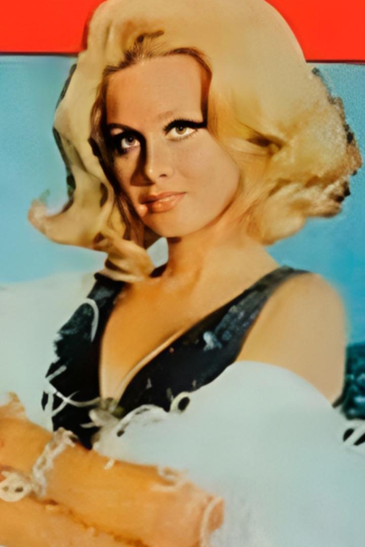 Cambazhane Gülü (cambazhane-gl) Фильм 1971