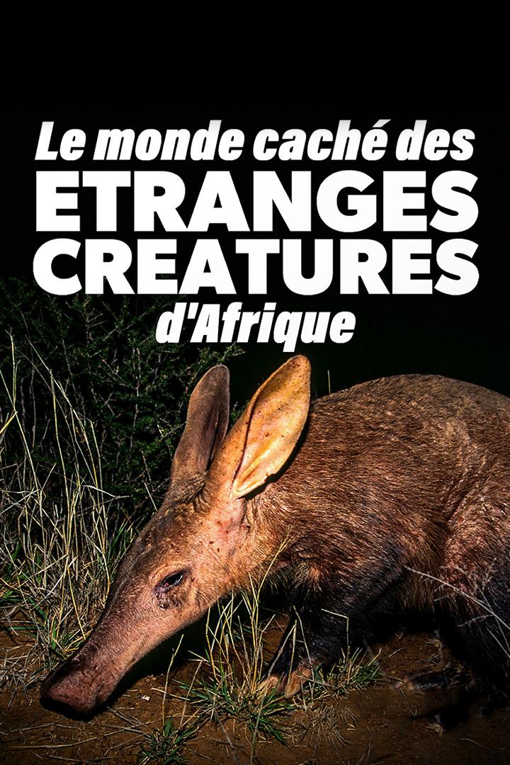 Le monde caché des étranges créatures d'Afrique (le-monde-cach-des-tranges-cratures-dafrique) Документальный фильм