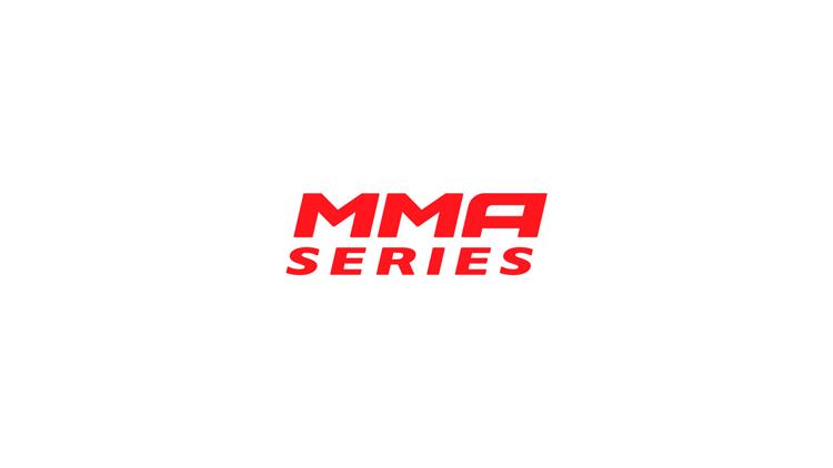 Постер MMA Series.Топ бойцов полусреднего веса 2024