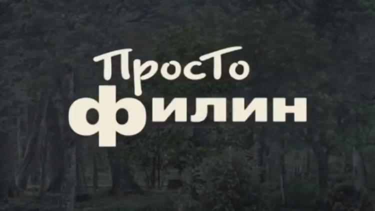 Постер Время сказок. Просто Филин