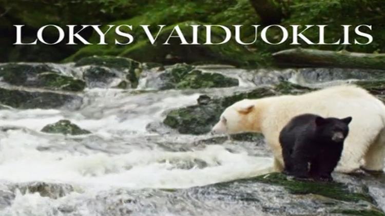 Постер Lokys vaiduoklis