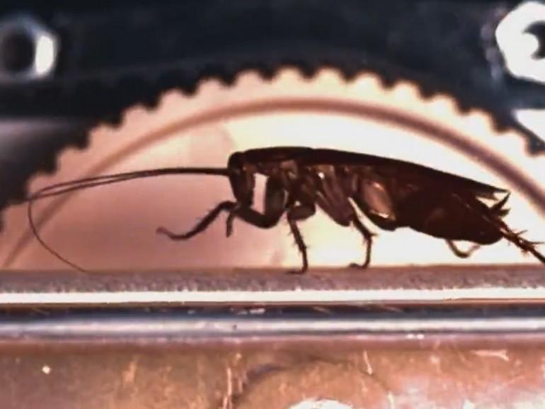 Технологии природы (tehnologii-prirody) Познавательное