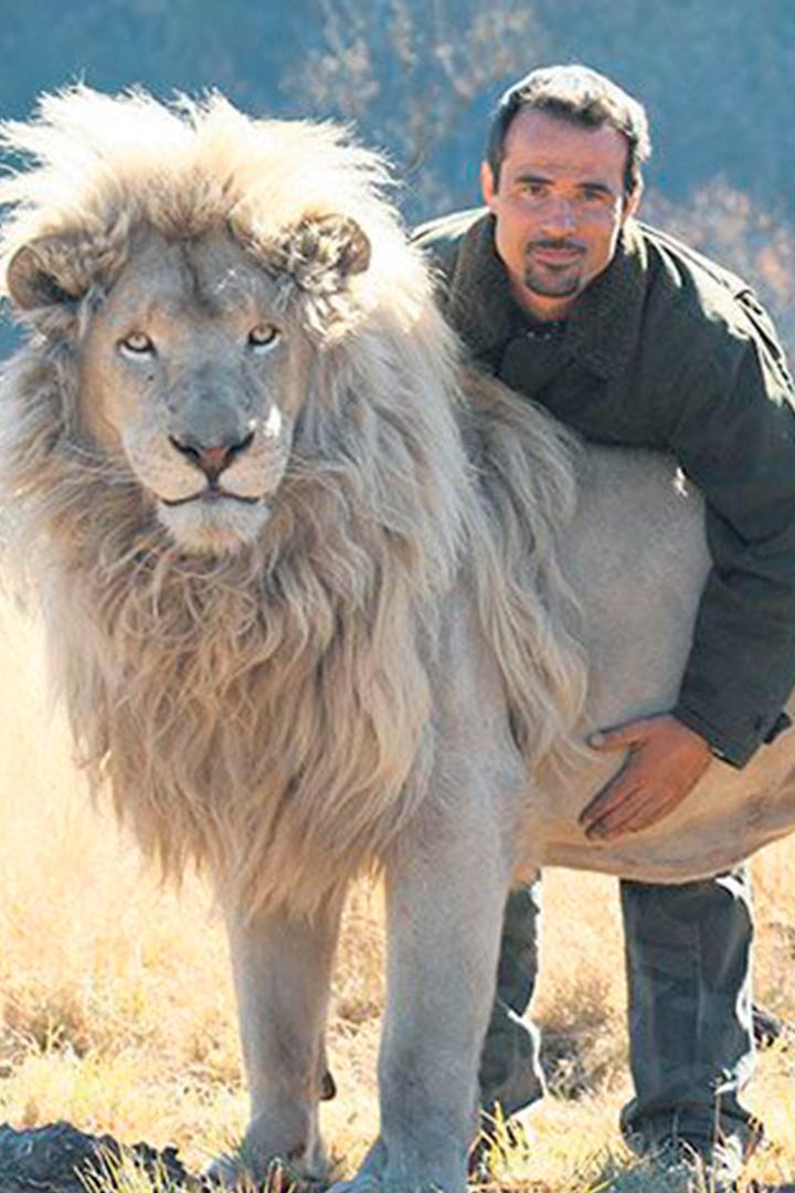 Un homme, des lions (un-homme-des-lions) Документальный фильм