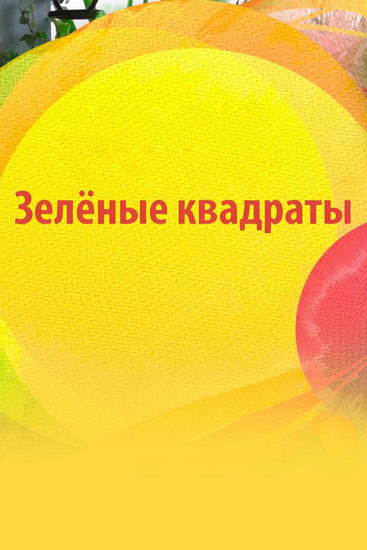 Зелёные квадраты (zelenye-kvadraty) Досуг, хобби