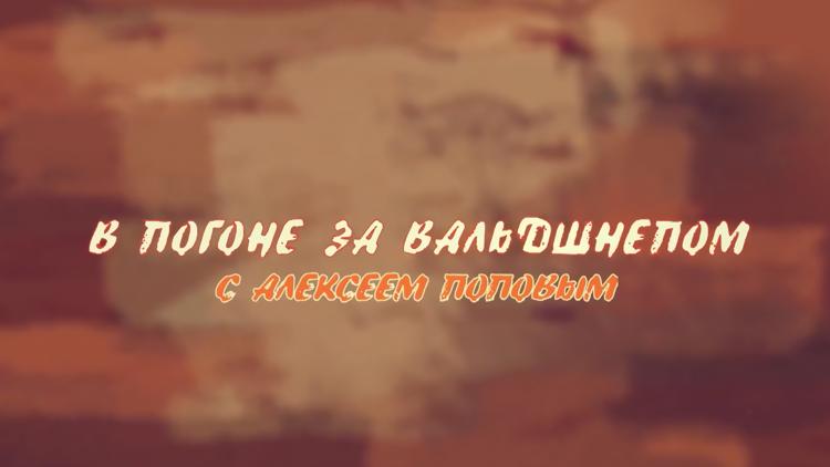 Постер В погоне за вальдшнепом с Алексеем Поповым