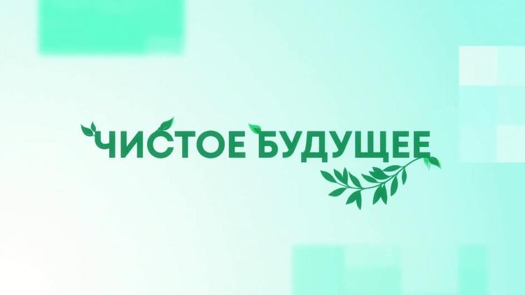 Постер Чистое будущее