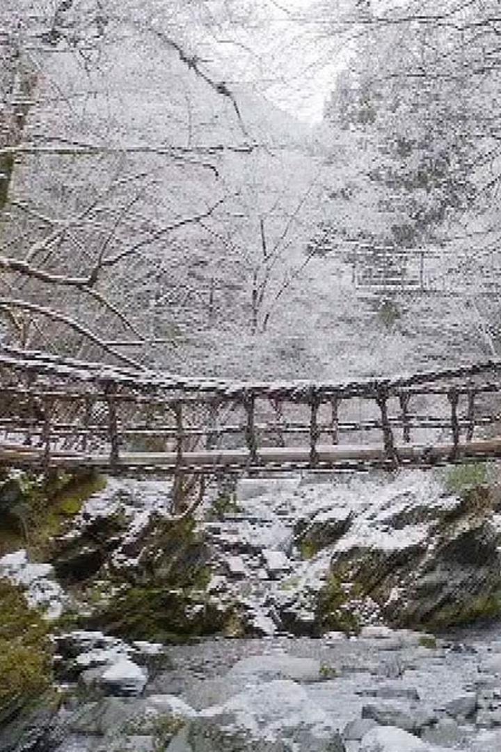 小さな旅 英語化 小さき花　らんまんと　〜石川県　白山〜 Досуг, хобби