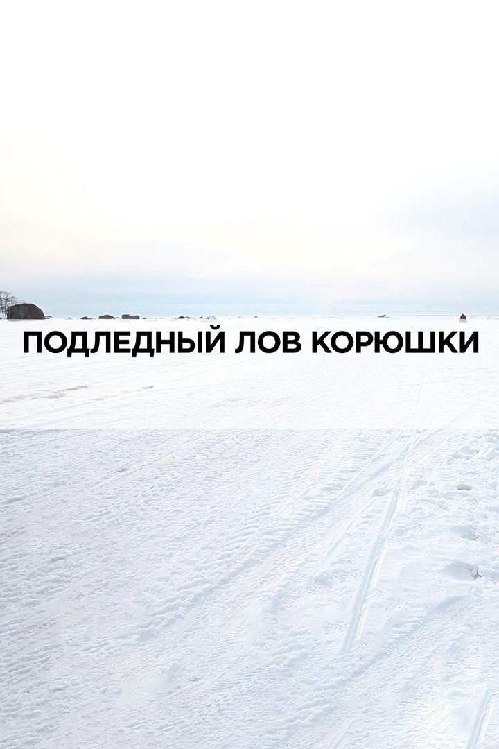 Подлёдный лов корюшки (podlednyj-lov-korjushki) Документальный фильм