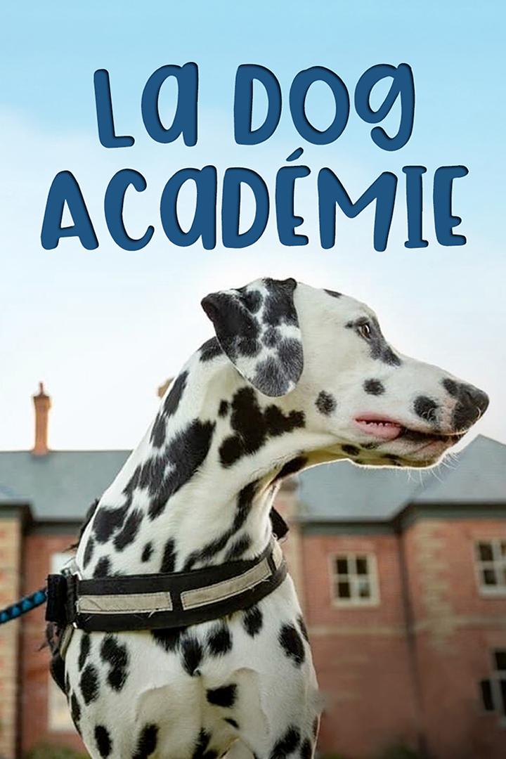 La dog Académie (la-dog-acadmie) Познавательное