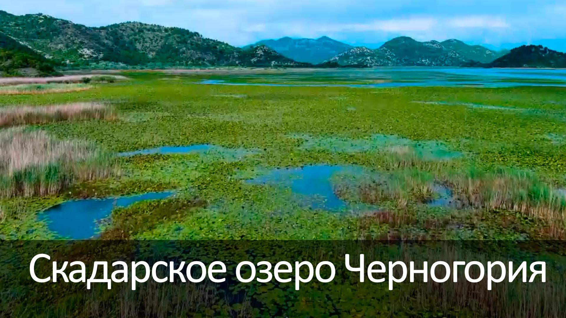 Скадарское озеро Черногория (skadarskoe-ozero-chernogorija) Досуг, хобби