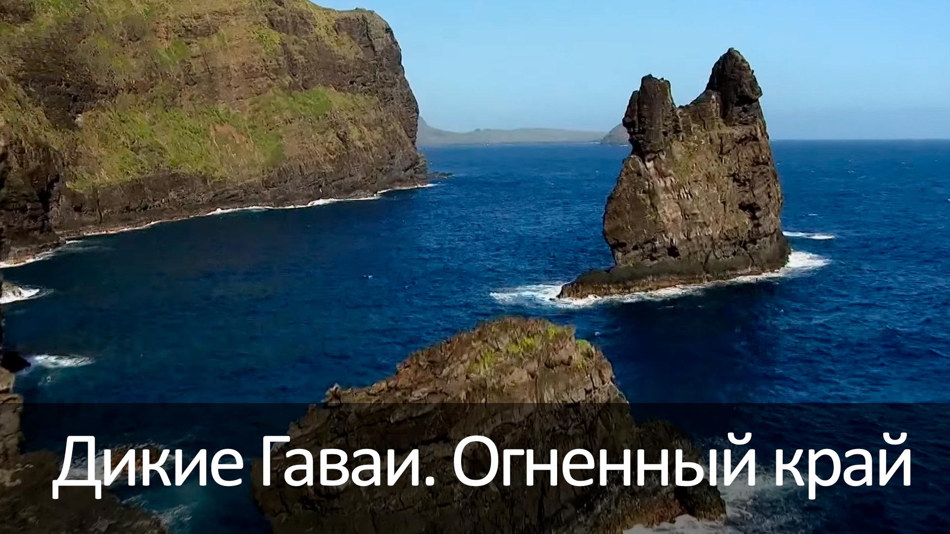 Дикие Гаваи. Огненный край (dikie-gavai-ognennyj-kraj) Документальный фильм