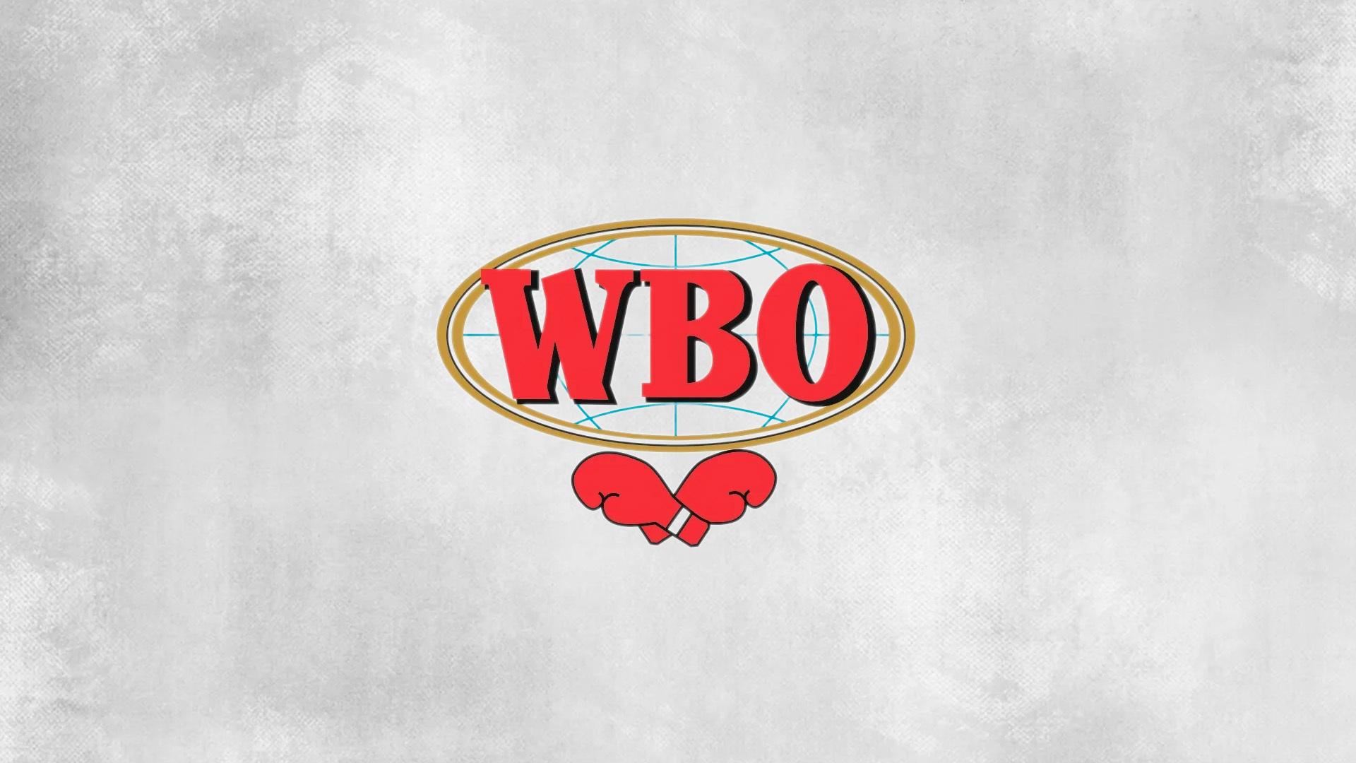 Поединок за титул чемпиона мира по версии WBO в первом полусреднем весе Мигель Анхель Котто - ДеМаркус Корли (poedinok-za-titul-chempiona-mira-po-versii-wbo-v-pervom-polusrednem-vese-migel-anhel-kotto-demarkus-korli) Спорт