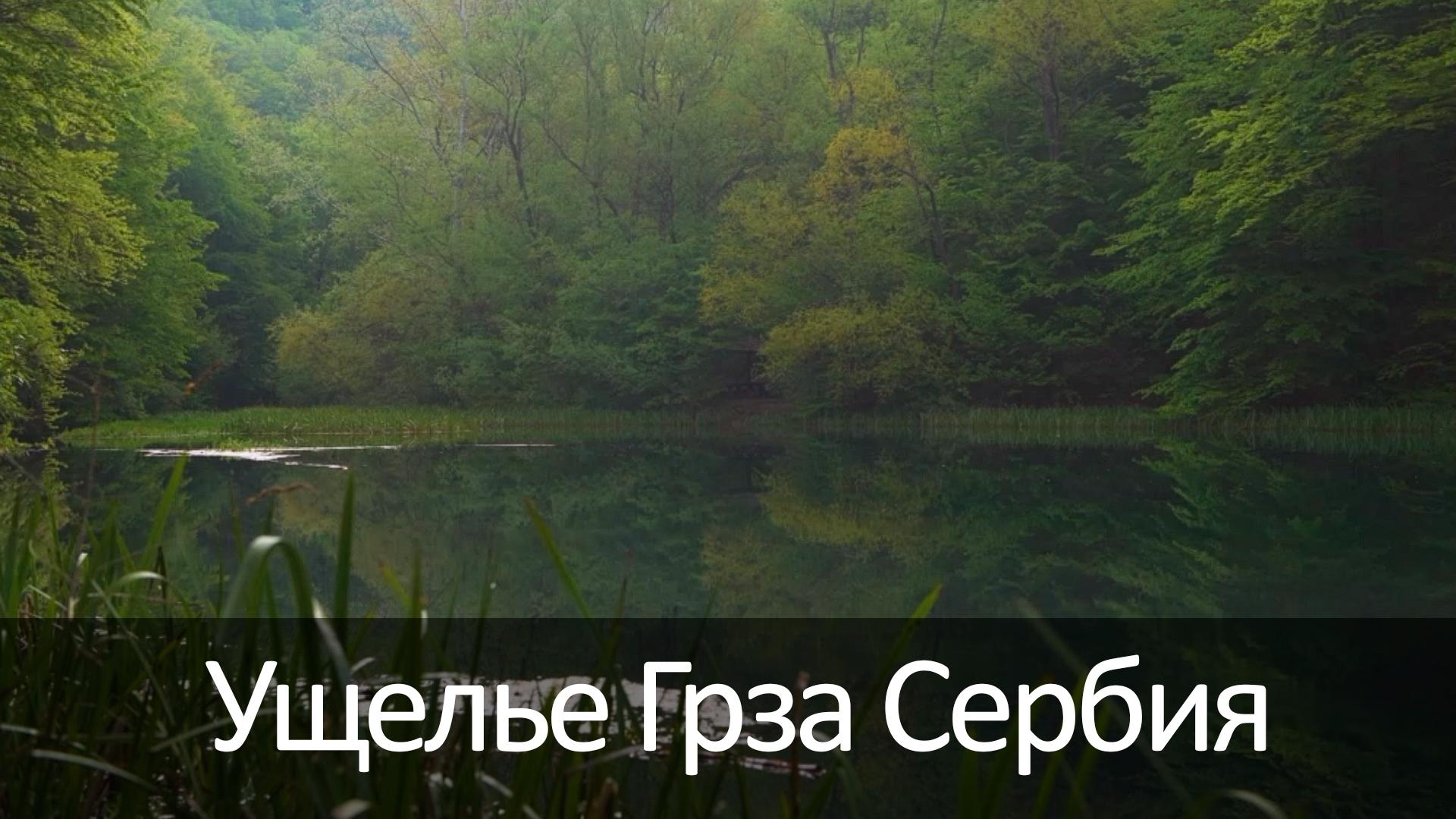 Ущелье Грза Сербия (uschele-grza-serbija) Досуг, хобби