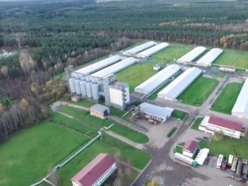 Птицефабрика «Зеленецкая». Предприятие XXI века (ptitsefabrika-zelenetskaja-predprijatie-xxi-veka) Документальный фильм