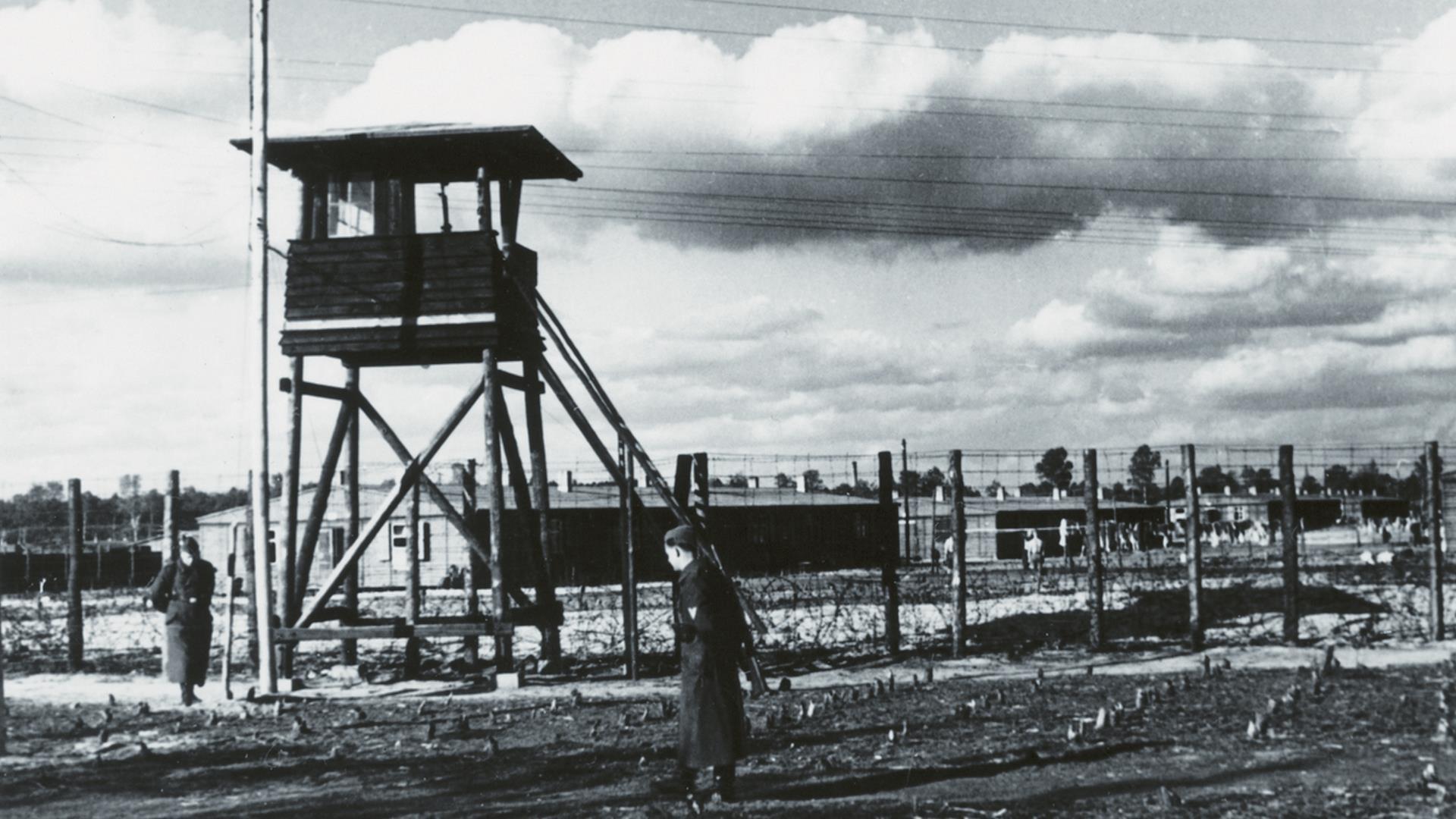 В руках нацистской Европы (v-rukah-natsistskoj-evropy) Документальный фильм