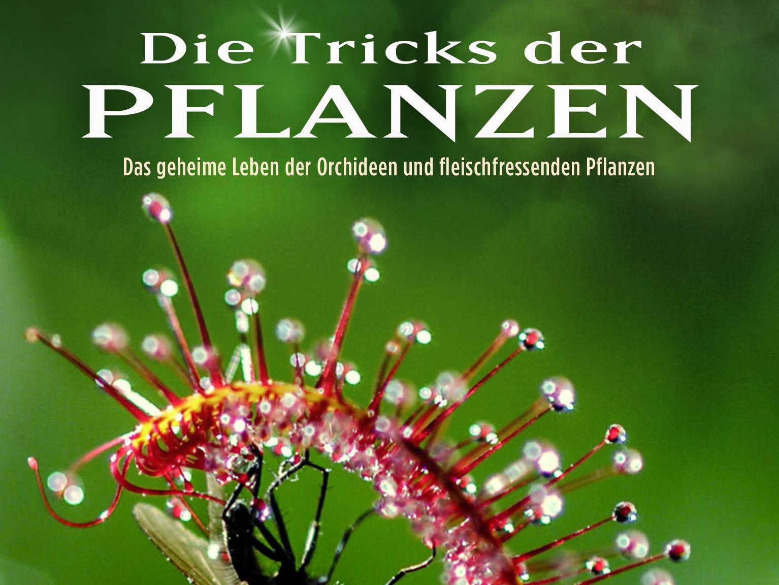 Die Tricks der Pflanzen (die-tricks-der-pflanzen) Документальный фильм
